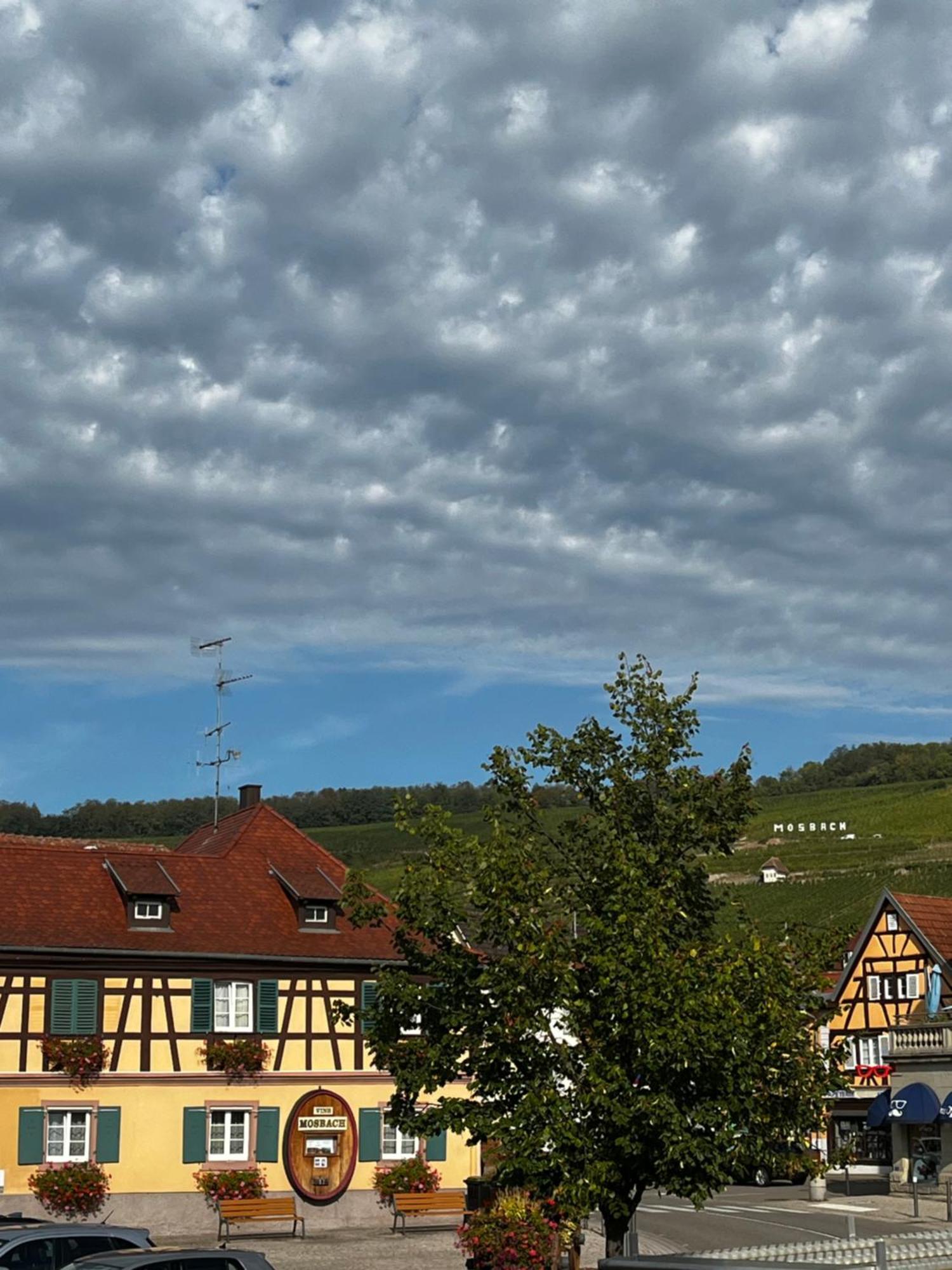 Les Chambres Du Marlenberg Marlenheim Esterno foto