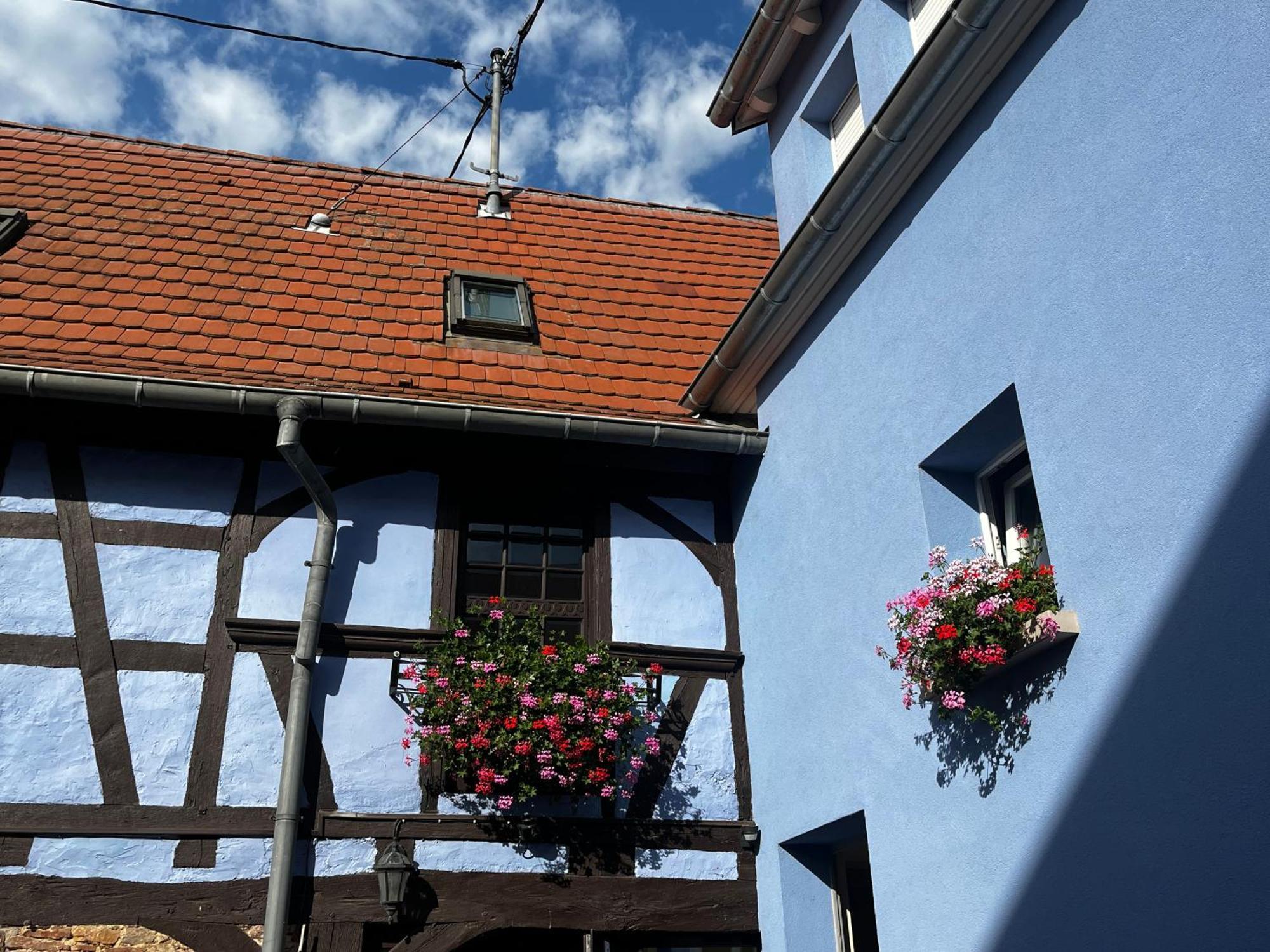 Les Chambres Du Marlenberg Marlenheim Esterno foto